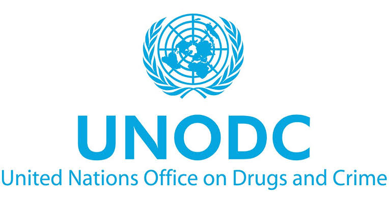 Borno Govt, CSOs commend UNODC’s child protection efforts in the North-East Borno Govt, CSOs commend UNODC’s child protection efforts in the North-East